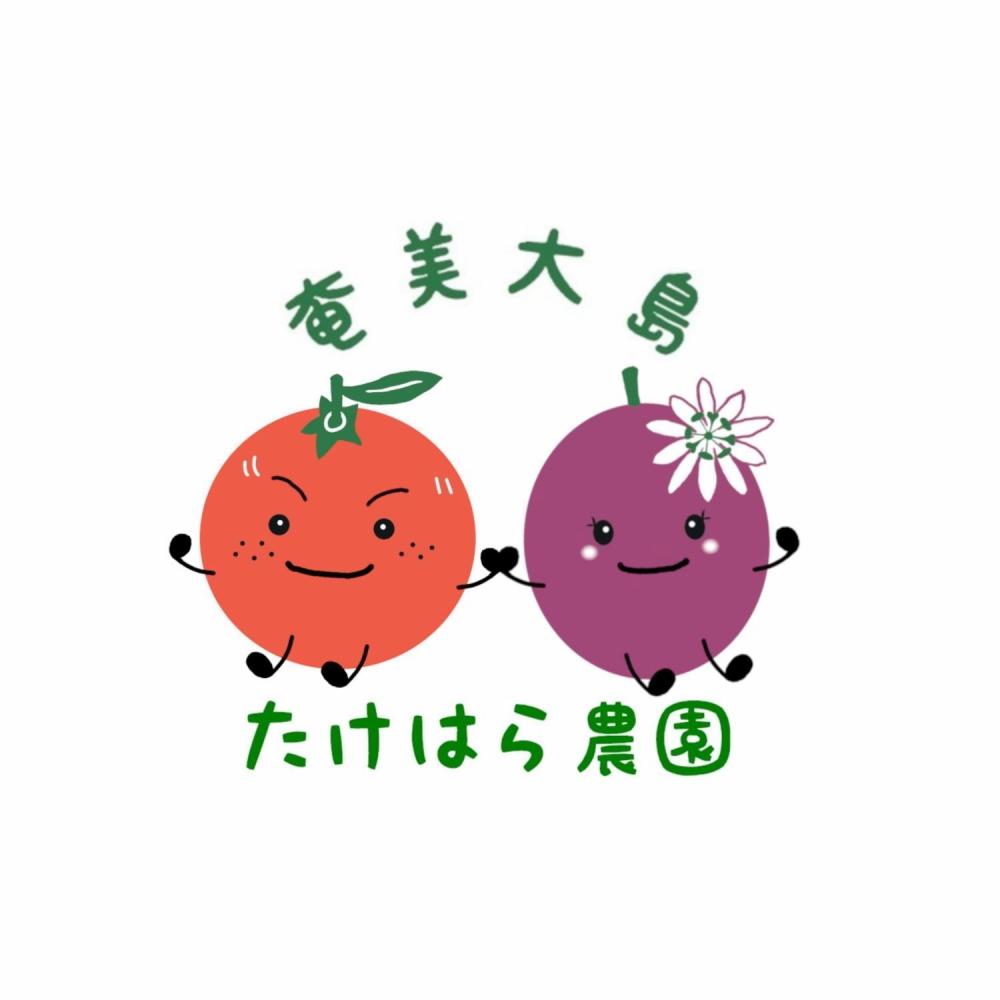 【2026年発送分 先行受付】パッションフルーツ バラ詰め3kg【たけはら農園】