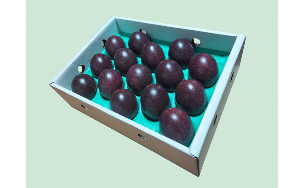 【2026年発送分 先行受付】パッションフルーツ 化粧箱15個入り(M玉)×２箱【たけはら農園】