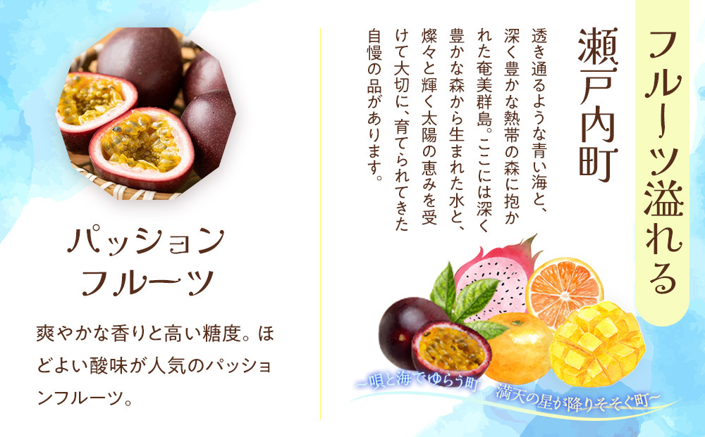 奄美じょうひ餅・奄美蜜すもも餅　10袋詰合