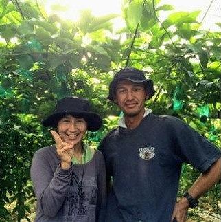 【先行受付】奄美大島産 パッションフルーツ ご家庭用 1.2kg（13～16個入り）＜ながむら農園＞