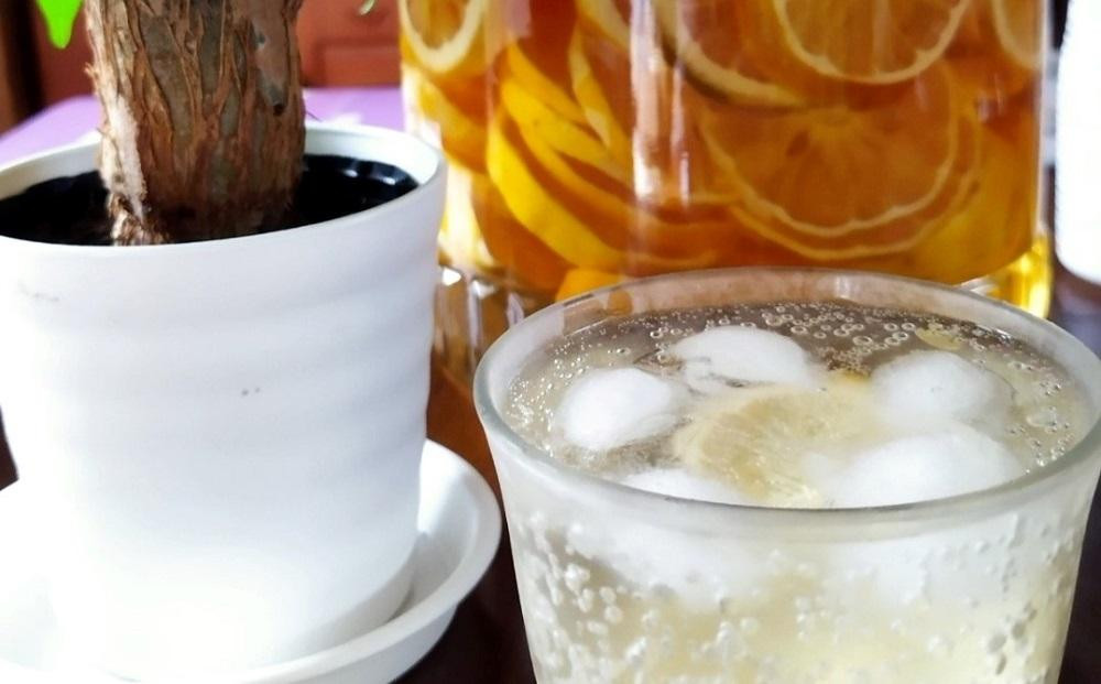 奄美大島産 島れもん 5kg＜芳醇な香りと爽やかな味の国産レモン＞