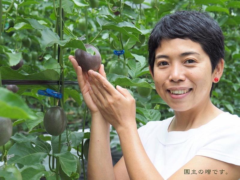 【先行受付】奄美大島 パッションフルーツ 3kg箱　（バラ詰）