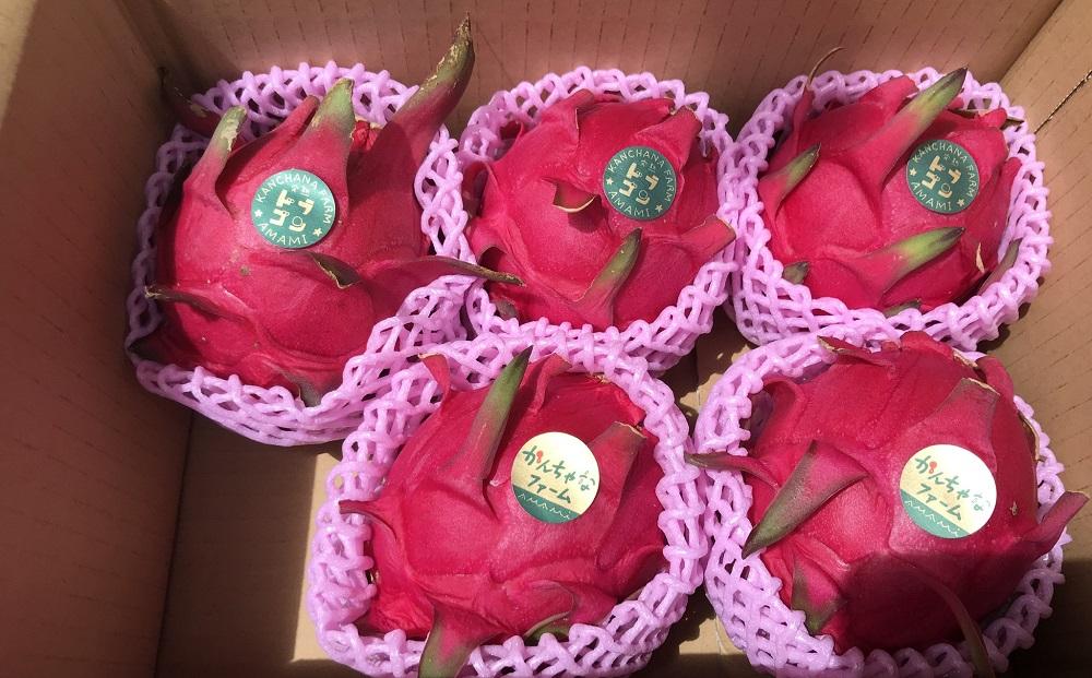 奄美産 食べごろ樹上完熟『赤蜜ドラゴンフルーツ』約2kg（4〜8玉）【先行予約　7月~10月発送】