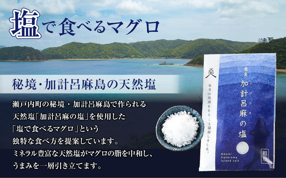 鹿児島県奄美大島産高級食材『黒いダイヤ』黒マグロ　Cセット