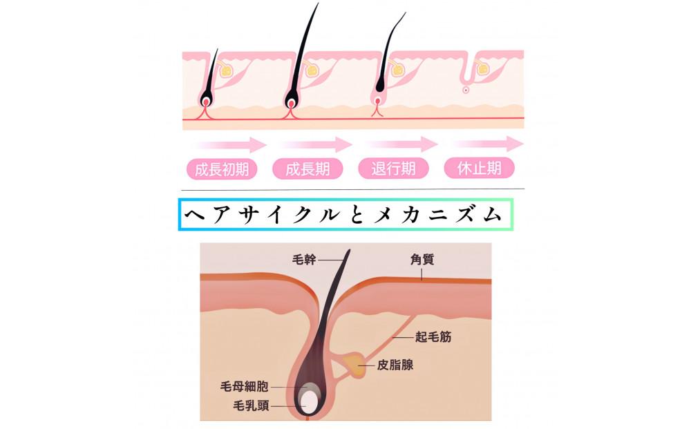 ihap scalp care lotion 200ml