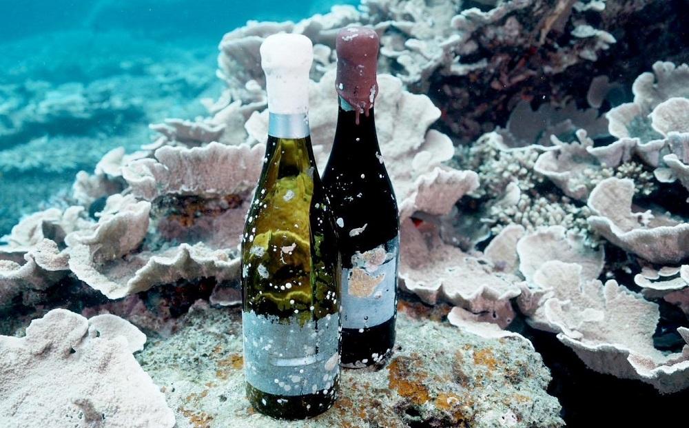 tlass SEA CELLAR -2024 1st Edition- 海底熟成白ワイン 750ml×1本