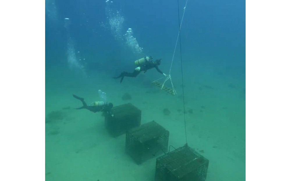 tlass SEA CELLAR -2025 2nd Edition- 海底熟成前後飲み比べワイン 白・赤・スパークリング 750ml×6本セット