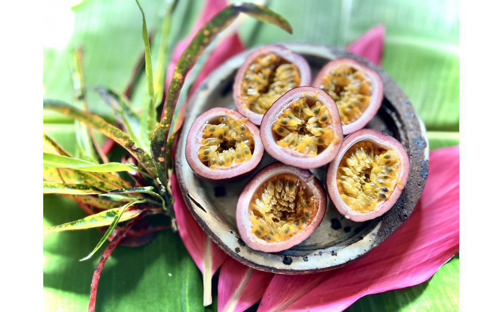 【2026年発送】《皇室献上品のパッションフルーツ》奄美大島瀬戸内町産　大玉12個入り／約1kg／希少な南国フルーツ／農園オリジナル化粧箱入り