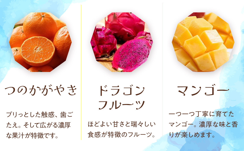 白胡麻ざた・黒胡麻ざた　10袋詰合