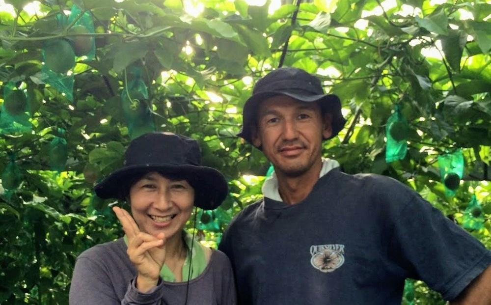 奄美大島産 島れもん 5kg＜芳醇な香りと爽やかな味の国産レモン＞