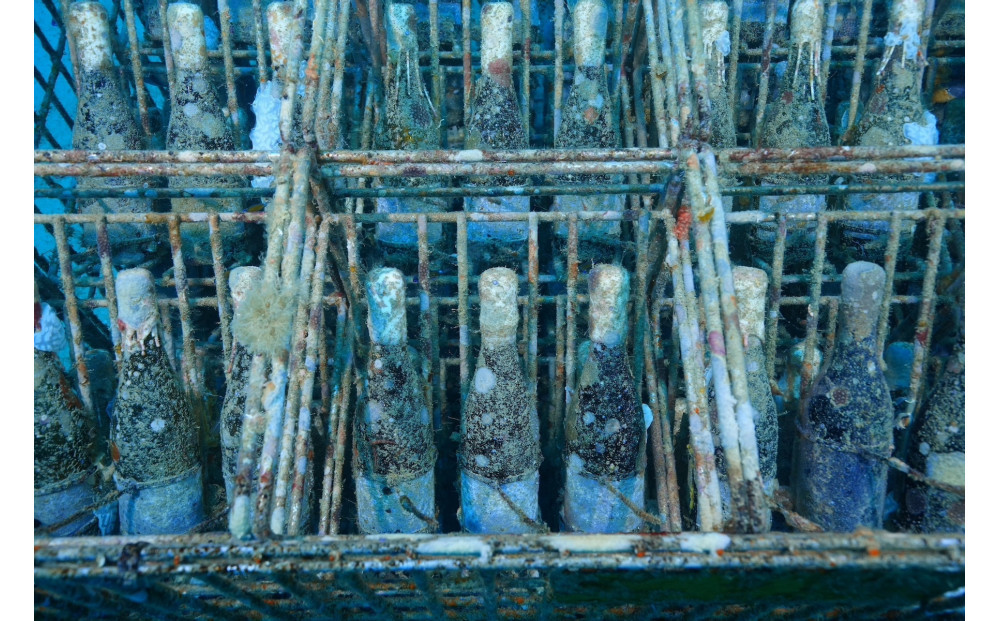 tlass SEA CELLAR -2025 2nd Edition- 海底熟成白ワイン 750ml×1本