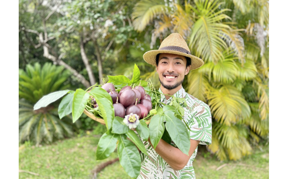 【2026年発送】《皇室献上品のパッションフルーツ》奄美大島瀬戸内町産　大玉12個入り／約1kg／希少な南国フルーツ／農園オリジナル化粧箱入り