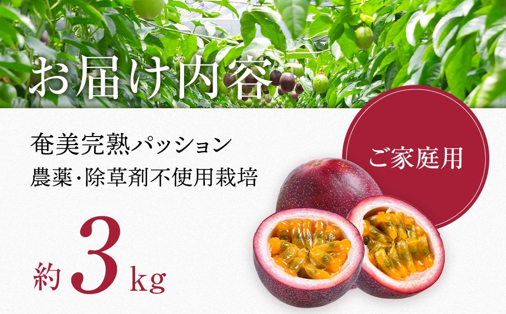 2026年先行受付【農薬・除草剤不使用】奄美大島産樹上完熟パッションフルーツ３kg