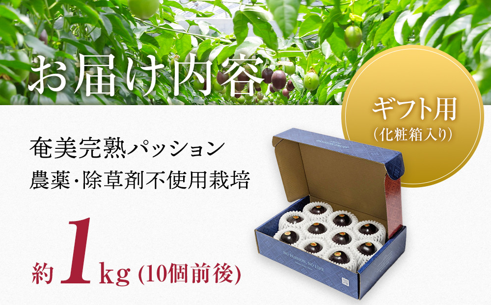 2026年先行受付【農薬・除草剤不使用】奄美大島産樹上完熟パッションフルーツ約１kg