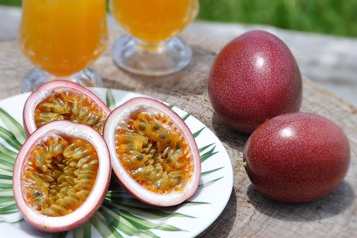 【2026年発送分 先行受付】パッションフルーツ バラ詰め3kg【たけはら農園】