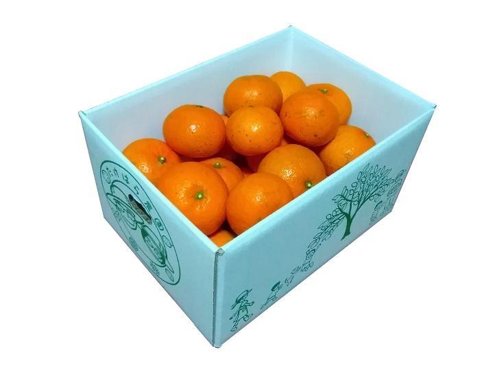 【2026年発送分 先行受付】たんかん ご家庭用バラ詰め3kg【たけはら農園】