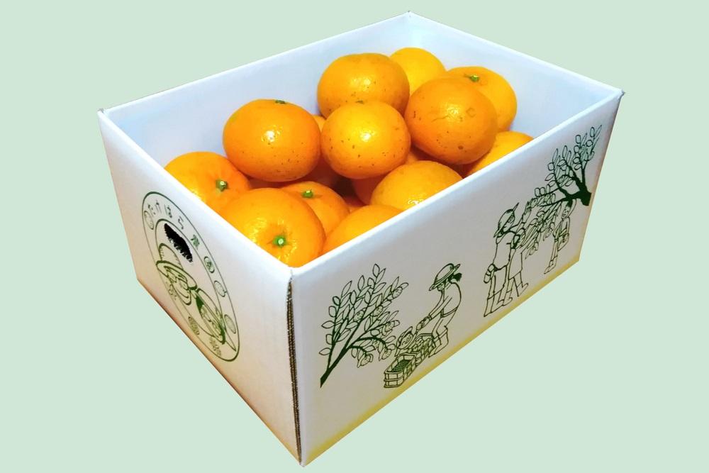 【2026年発送分 先行受付】たんかん ご家庭用バラ詰め5kg【たけはら農園】