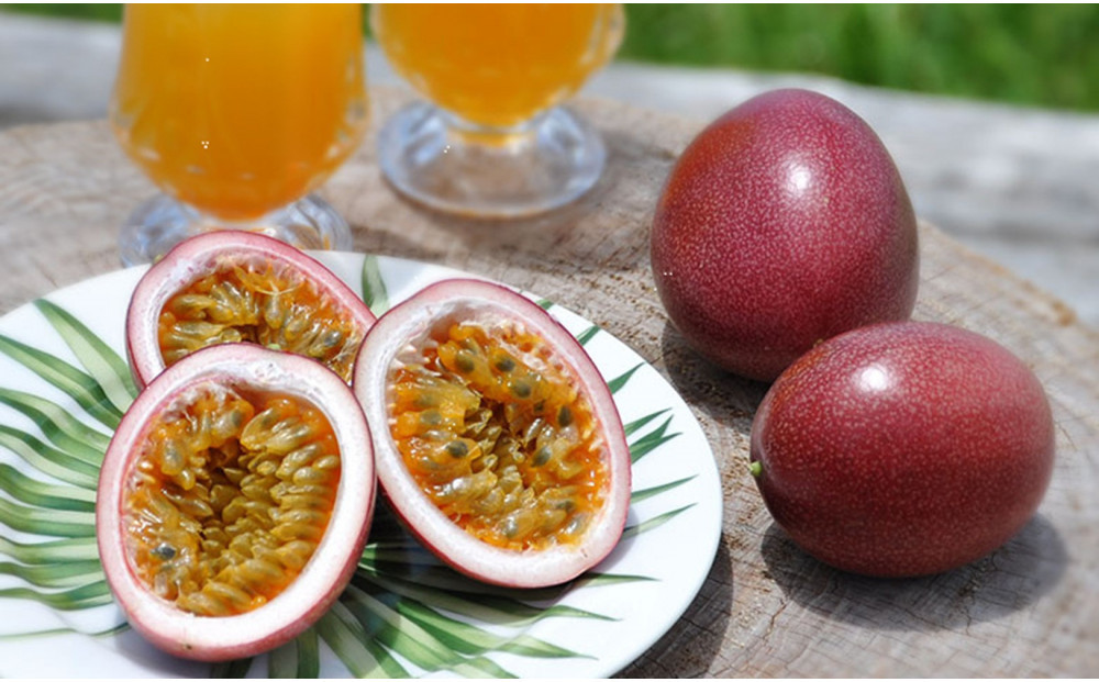 【2026年発送分 先行受付】パッションフルーツ 化粧箱15個入り(Ｍ玉)×3箱【たけはら農園】