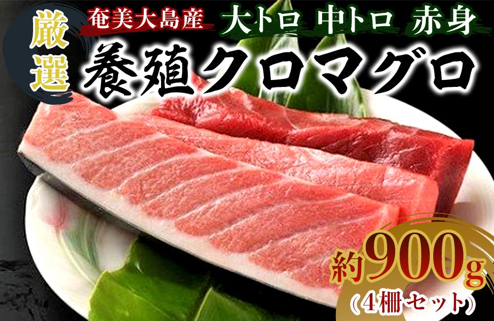 奄美大島産養殖クロマグロ 4柵セット 900g以上 大トロ 中トロ 赤身 冷凍