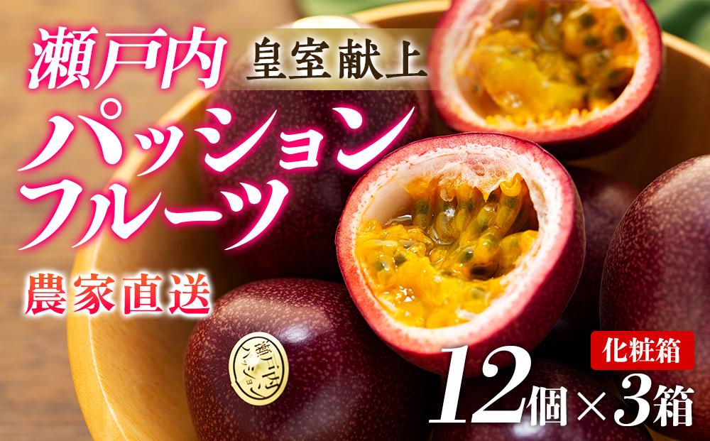 【2026年発送 先行受付】パッションフルーツ 化粧箱12個入り×3箱 計36個【武富農園】