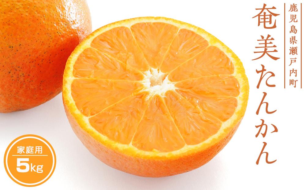 【2026年発送 先行予約】武富農園 訳あり 奄美たんかん 約5kg ご家庭用
