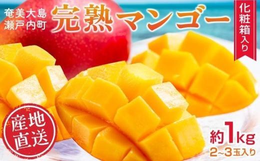 【2026年 先行予約】奄美完熟マンゴー 化粧箱 約1kg(2～3玉入り) 農家直送！