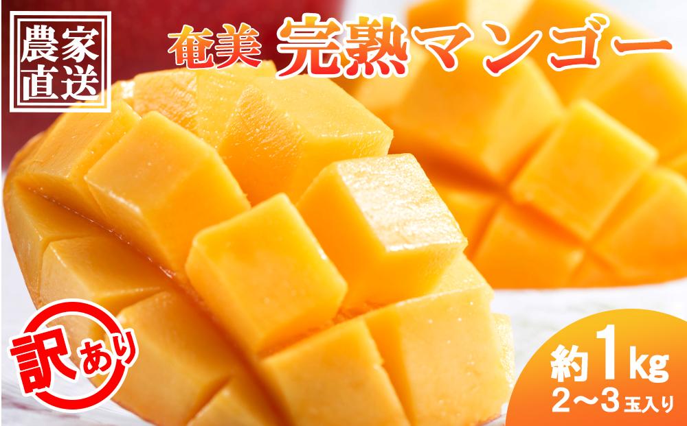 【2026年 先行予約】奄美完熟マンゴー 訳あり 家庭用 約1kg(2～3玉入り) 農家直送！