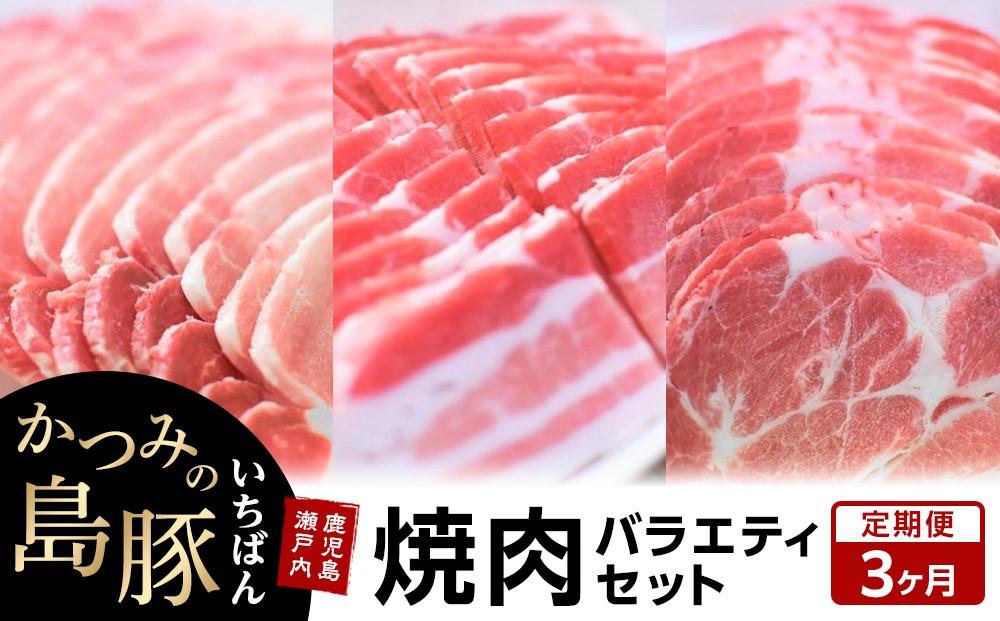 【定期便3か月】かつみの島豚いちばん焼肉バラエティセット 750g（250g×3パック）