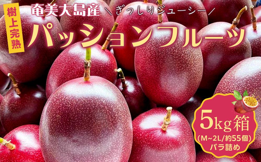 先行受付】奄美大島 パッションフルーツ 5kg箱（M～2L/約55個）バラ【きゃしなふ農園】: 瀬戸内町ANAのふるさと納税