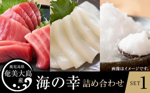 【奄美大島 瀬戸内町】海の幸　詰め合わせセット１（黒マグロ・ソデイカ・加計呂麻の塩）
