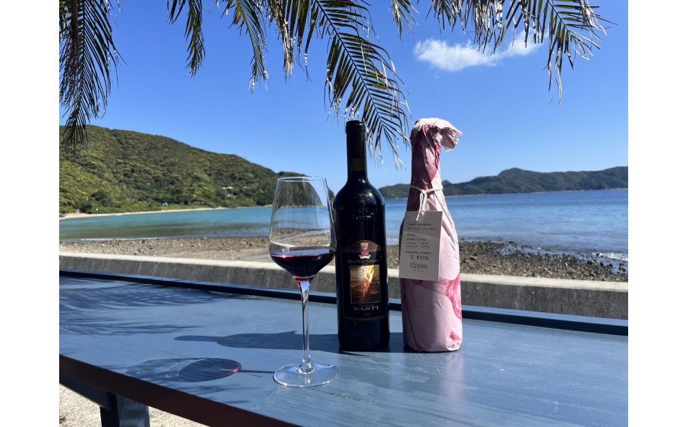 tlass SEA CELLAR -2025 2nd Edition- 海底熟成赤ワイン 750ml×1本