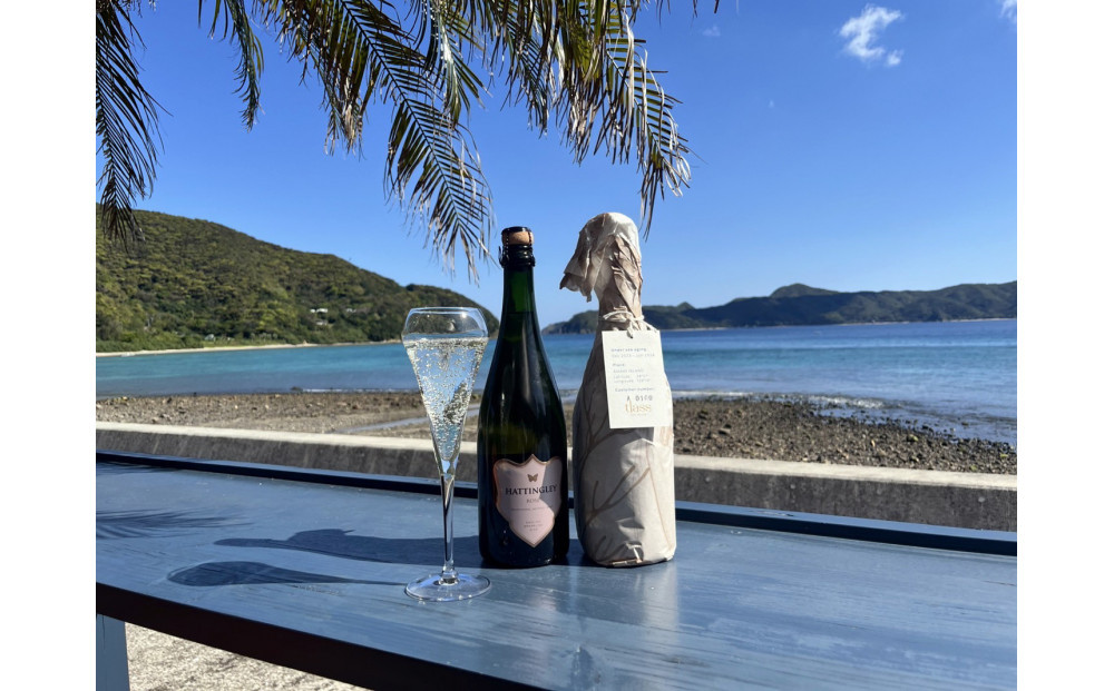 tlass SEA CELLAR -2025 2nd Edition- 海底熟成スパークリング 750ml×1本