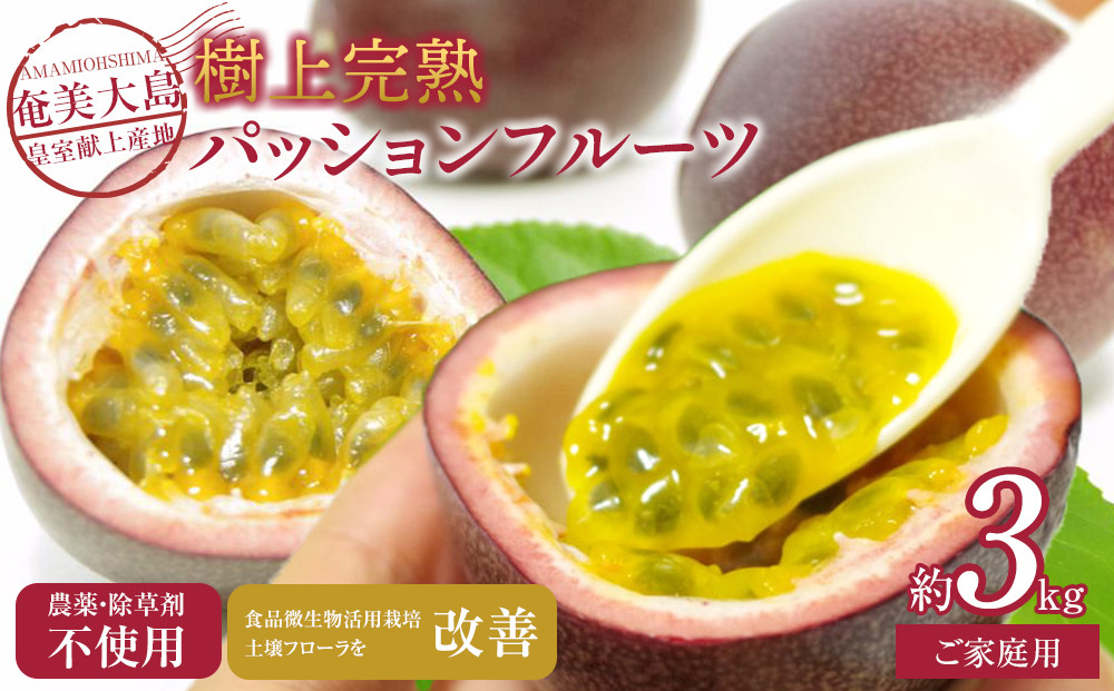 2026年先行受付【農薬・除草剤不使用】奄美大島産樹上完熟パッションフルーツ３kg