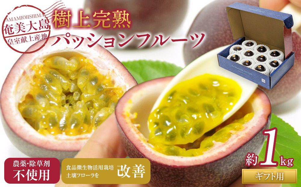 2026年先行受付【農薬・除草剤不使用】奄美大島産樹上完熟パッションフルーツ約１kg