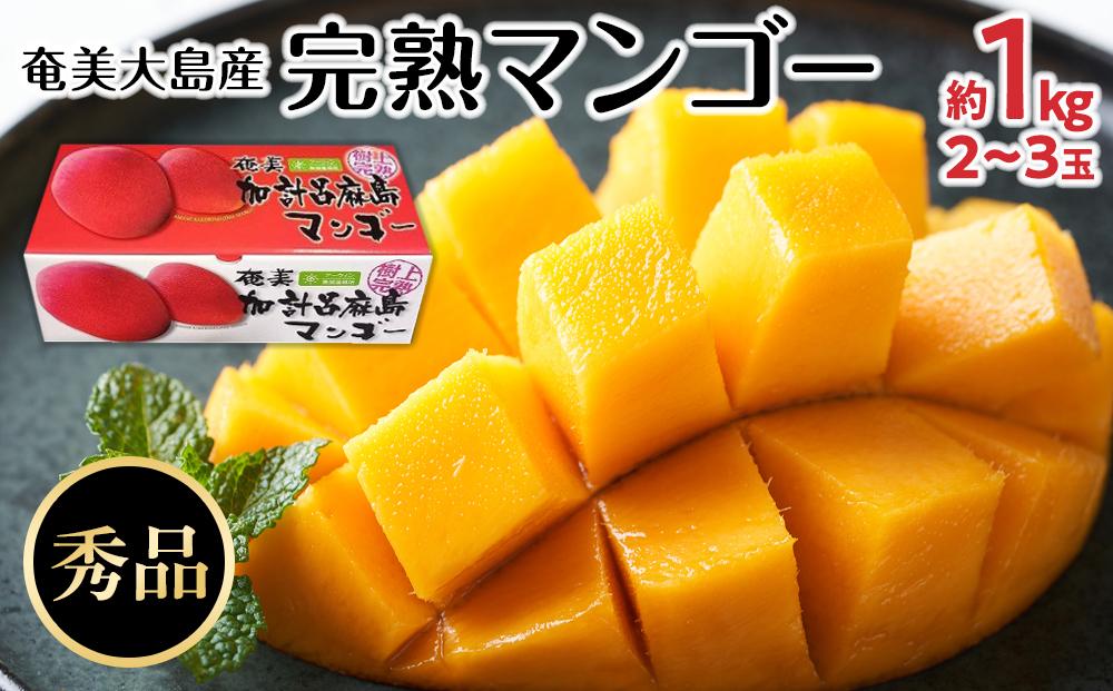 【2026年発送】奄美大島産　完熟マンゴー 約1キロ（2～3玉）