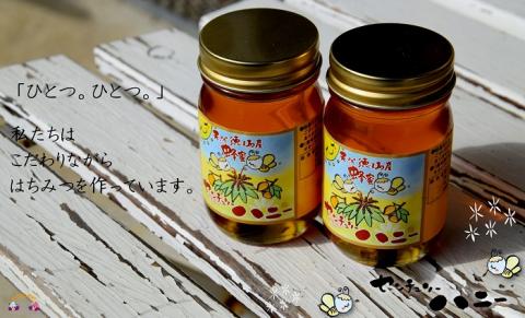 ～徳之島のマンゴー農家さんが作ったはちみつ～センチュリーハニー（2本）( ハチミツ ハニー 徳之島 お菓子 調味料 自然食品 スイーツ 生 100% パンケーキ ケーキ 奄美 鹿児島 )