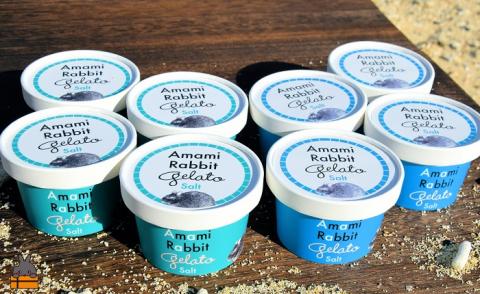 《ふるさと納税限定》美ら海の塩と濃厚ミルク。アマミラビットジェラート（Salt：8個） （ アイス 塩 うさぎ ウサギ 徳之島 奄美 鹿児島 世界自然遺産 美農里館 オリジナル ）