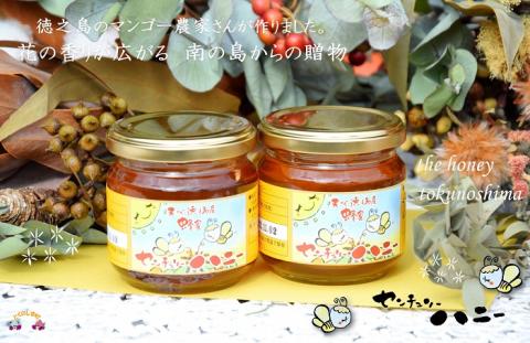 ～徳之島のマンゴー農家さんが作ったはちみつ～センチュリーハニー（大）( ハチミツ ハニー 徳之島 お菓子 調味料 自然食品 スイーツ 生 100% パンケーキ ケーキ 奄美 鹿児島 )