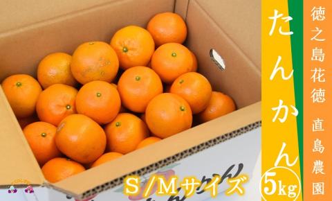 【すぐに発送！】徳之島花徳直島農園さんのたんかん5kg（S/Mサイズ混合）
