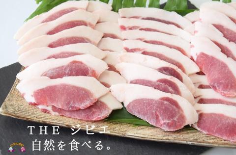 ～THEジビエ 自然を食べる。～リュウキュウイノシシ（ロース）