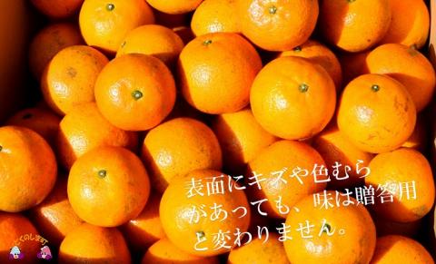 【家庭用】徳之島直島果樹園さんの家庭用たんかん10kg