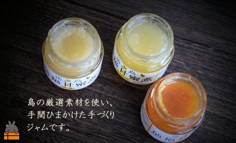 《お試し》太陽（てぃだ）の恵み！3種のしあわせ島ジャムセット ( ジャム パン フルーツ 果物 食べ比べ たんかん パッションフルーツ シークニン 野生みかん しょうが 贅沢 濃厚 美味しい 徳之島 奄美 鹿児島 美農里館 世界自然遺産 美味しい 人気 )