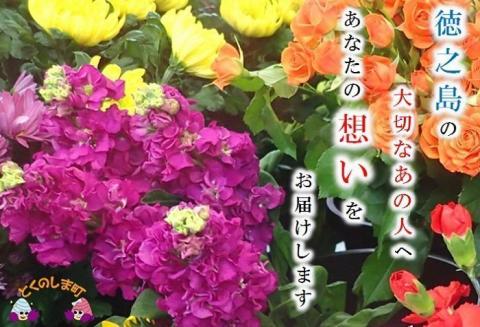 ～徳之島の大切なあの人へ～想いを込めた花束プレゼント