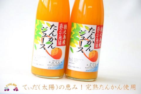 【2025年収穫！】完熟の幸せな甘み！徳之島たんかんジュース（2本）  ( フルーツ ジュース 果汁 果物 柑橘 徳之島 鹿児島 濃厚 贅沢 太陽 恵み 健康 美味しい )