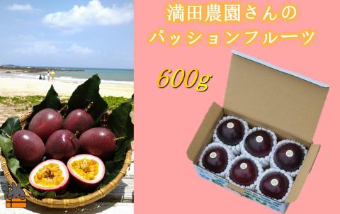 【先行予約】満田農園さんのパッションフルーツ（約600g） ( 旬 パッション フルーツ 果物 島フルーツ 酸味 甘み 徳之島 奄美 鹿児島 プチプチ 食感 果汁 フレッシュ 美味しい 美容 )	