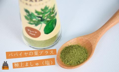 「お肉料理はこれで決まり!!」パパイヤスパイス（プレーン40g）