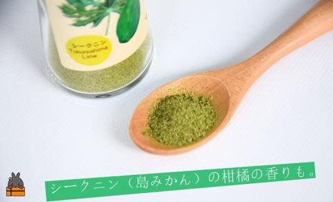 「お肉料理はこれで決まり!!」パパイヤスパイス（シークニン35g）