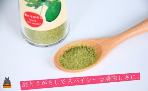 「お肉料理はこれで決まり!!」パパイヤスパイス（島とうがらし40g）