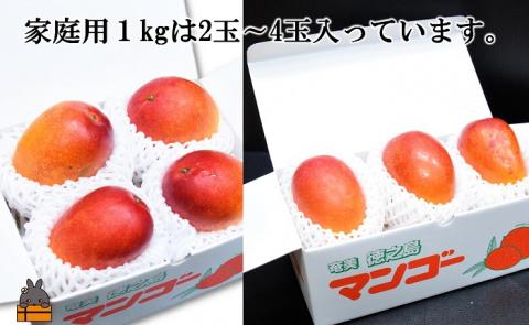 ≪今が旬！≫【家庭用】徳之島秋本農園さんの家庭用完熟マンゴー約1kg（2～4玉）