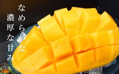 初体験の美味しさ。とくのしま産幻の玉文（ぎょくぶん）マンゴー（約1㎏～1.5㎏）